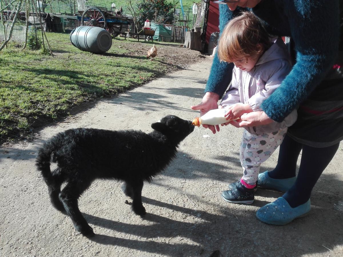 Agroturismo La Casona De Belmonte Ovinana  Dış mekan fotoğraf