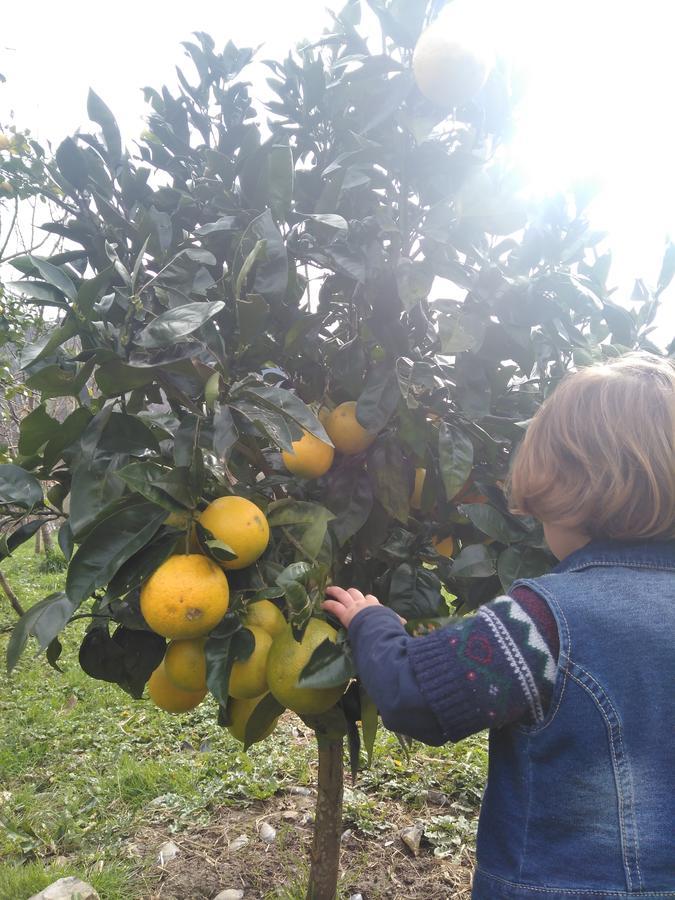 Agroturismo La Casona De Belmonte Ovinana  Dış mekan fotoğraf