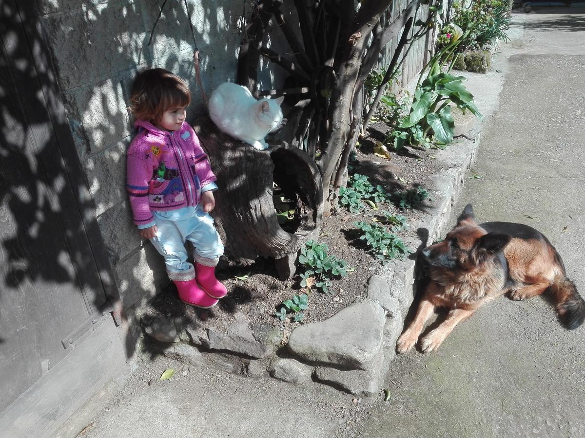 Agroturismo La Casona De Belmonte Ovinana  Dış mekan fotoğraf