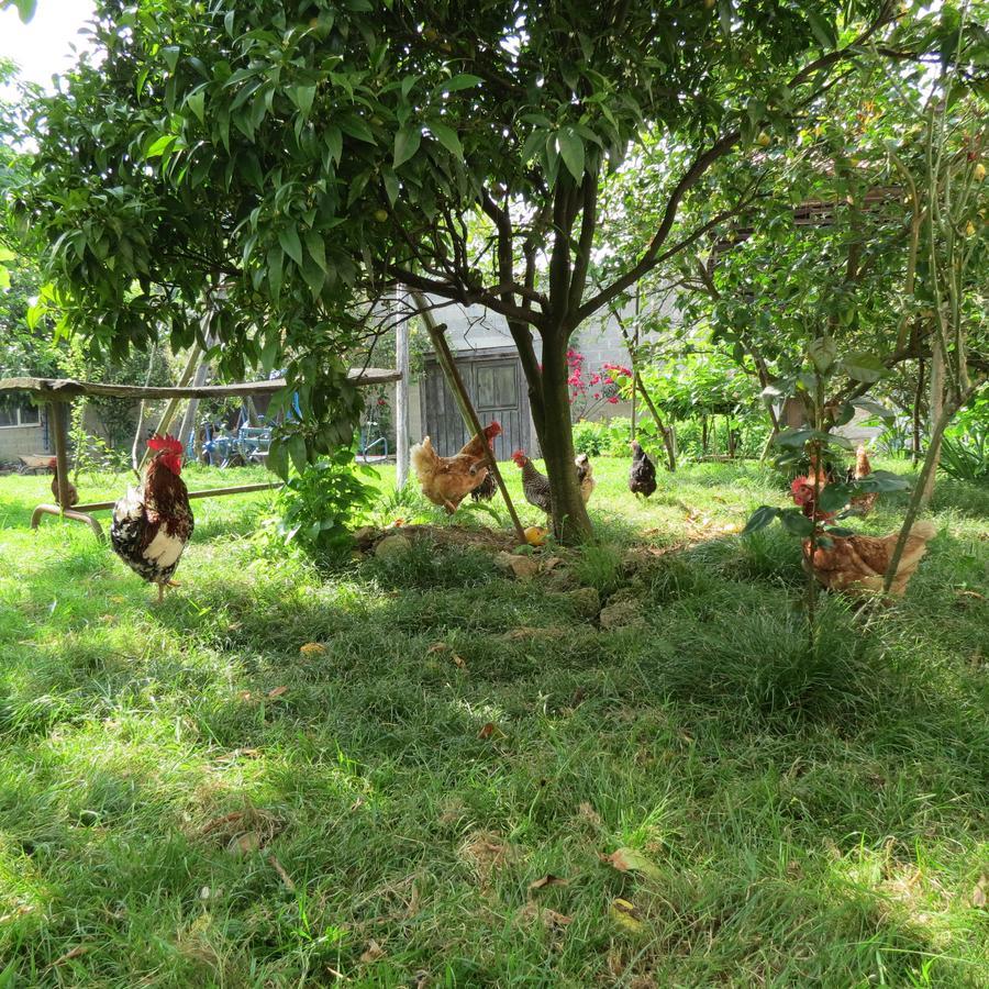 Agroturismo La Casona De Belmonte Ovinana  Dış mekan fotoğraf