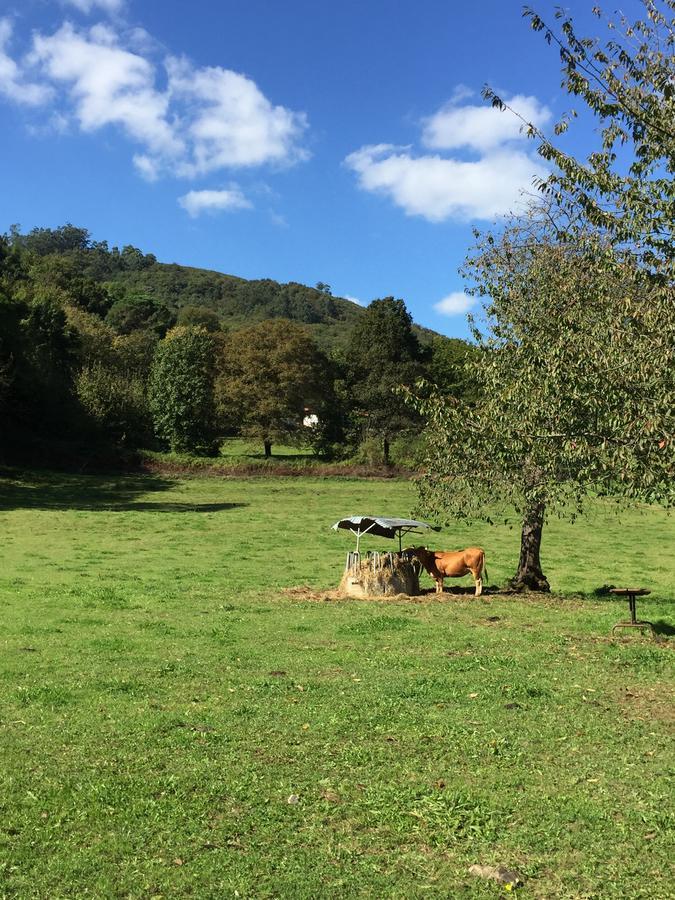 Agroturismo La Casona De Belmonte Ovinana  Dış mekan fotoğraf