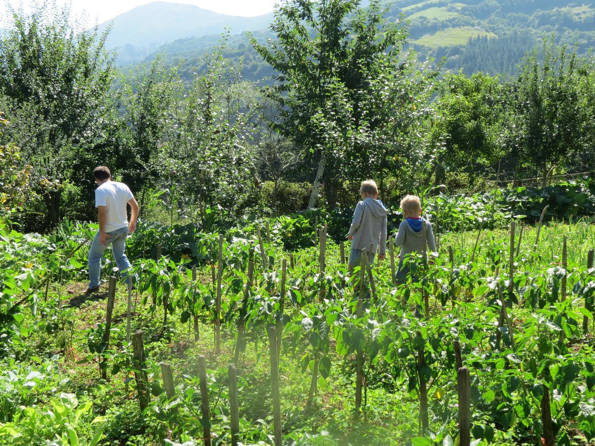 Agroturismo La Casona De Belmonte Ovinana  Dış mekan fotoğraf